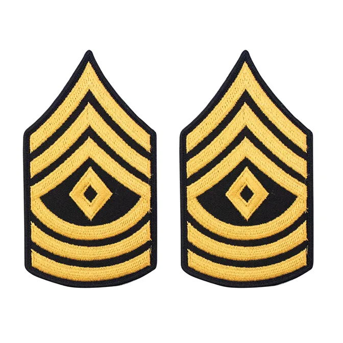 Army Service Uniform Rank Patches - Enlisted Female - Pair