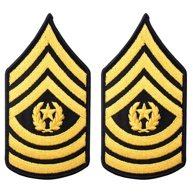 Army Service Uniform Rank Patches - Enlisted Female - Pair