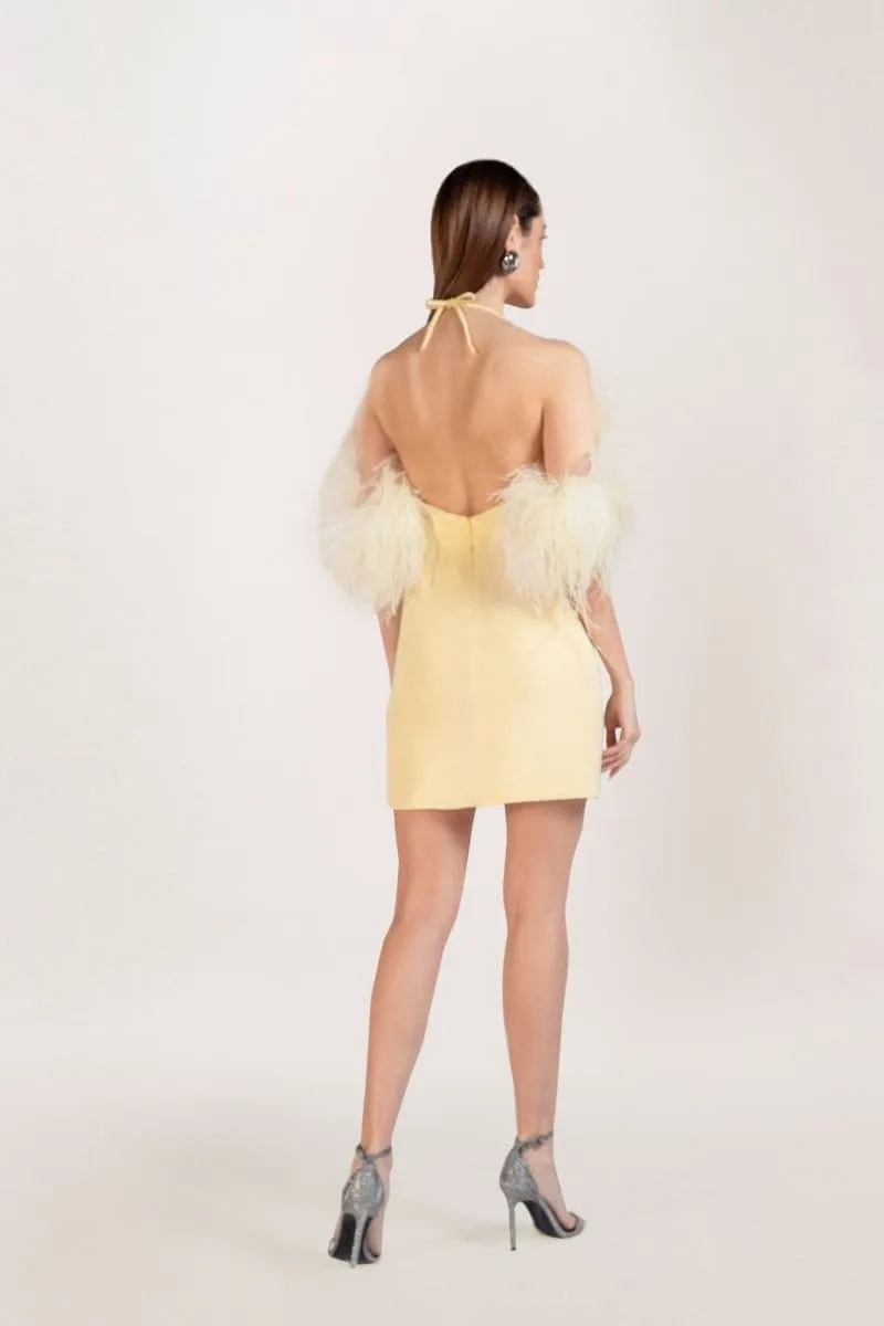 BELLA SILK FEATHER-TRIMMED MINI DRESS