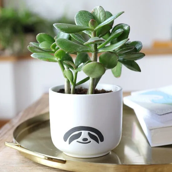 Ceramic Sloth Planter