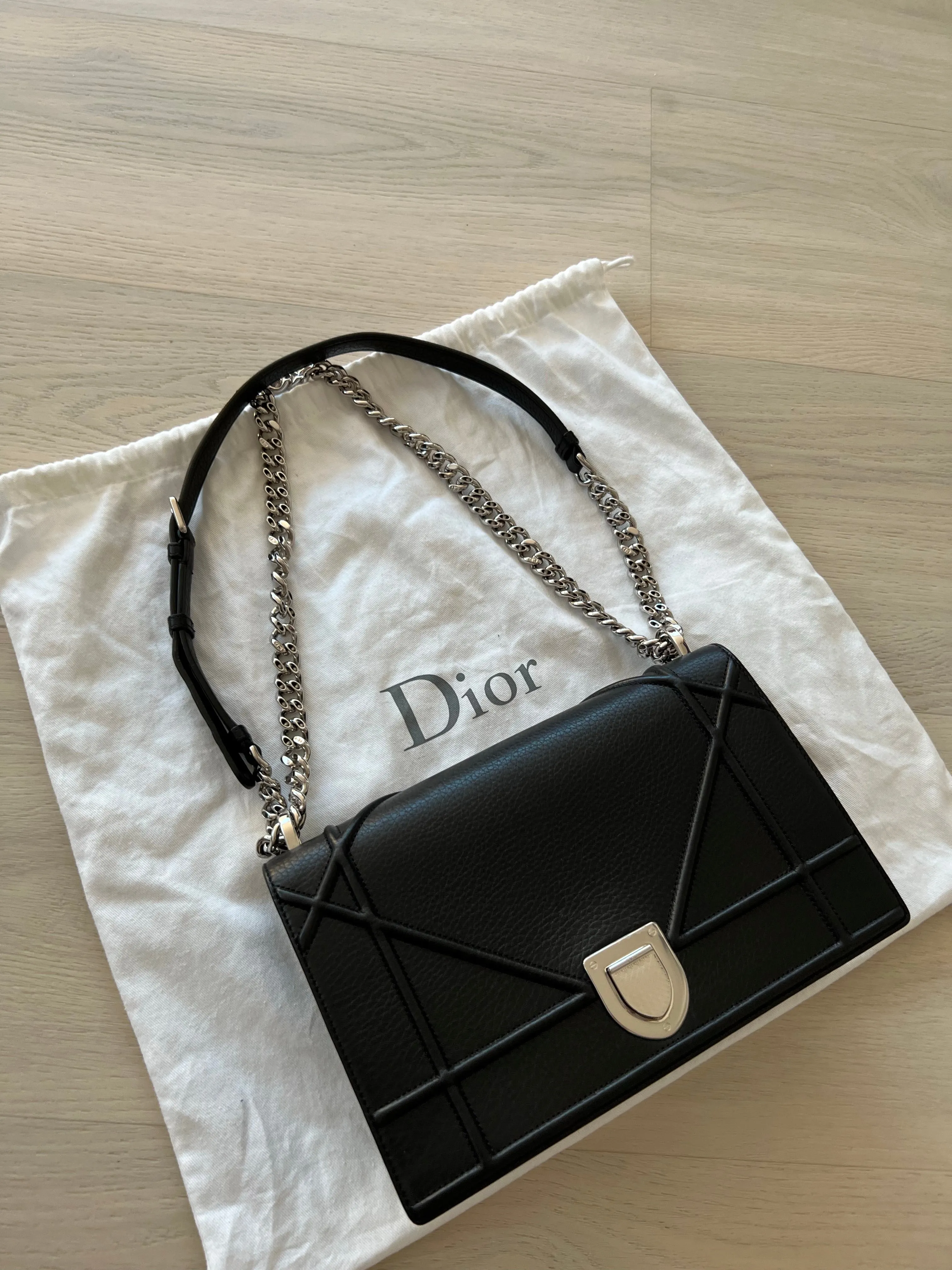 Christian Dior Diorama Bag