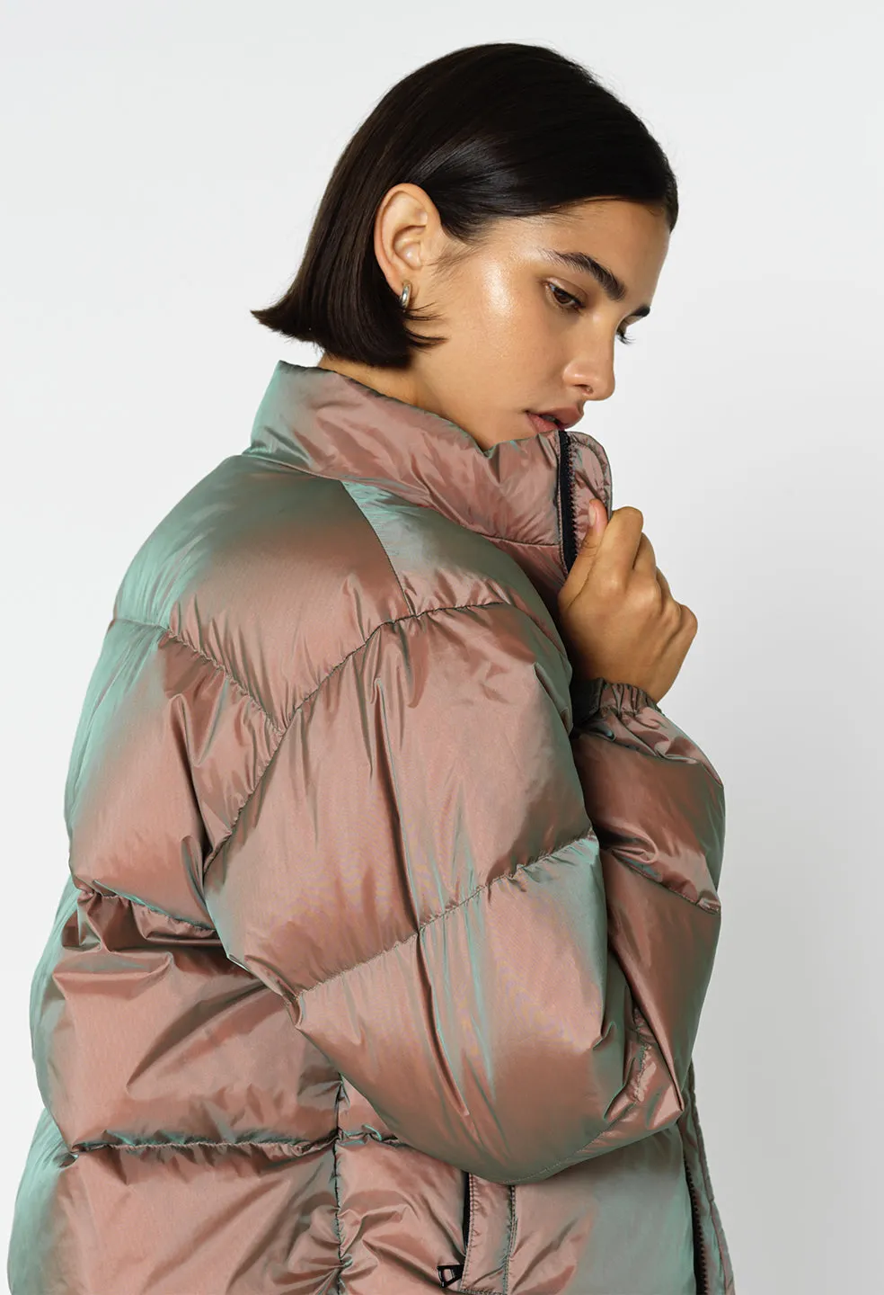 Iridescent Down Puffer / Astral