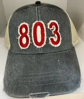 IT 803 Trucker Hat