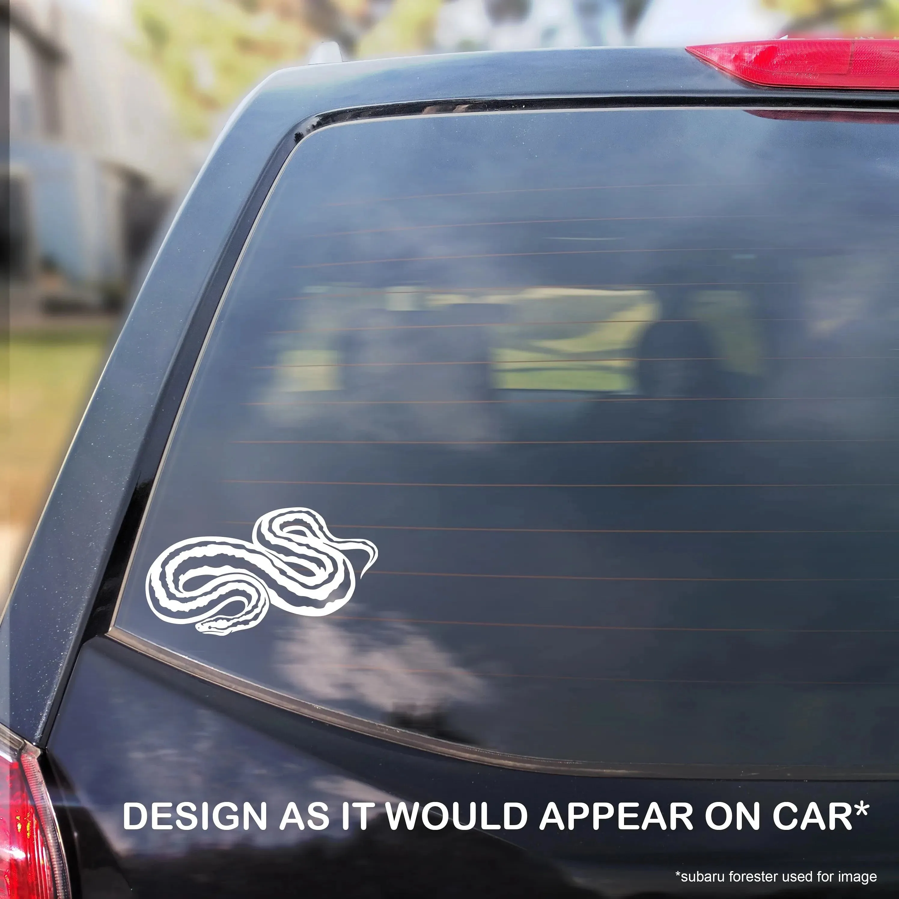 Rosy Boa Decal, Waterproof Vinyl Decal, Cute Snake Reptile Gift